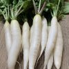 Rainbow Radish Collection | Seeds - Image 8