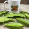 Winged Bean Seeds | Heirloom - Image 2