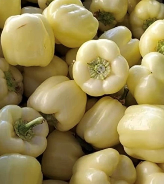 White Cloud Pepper Seeds