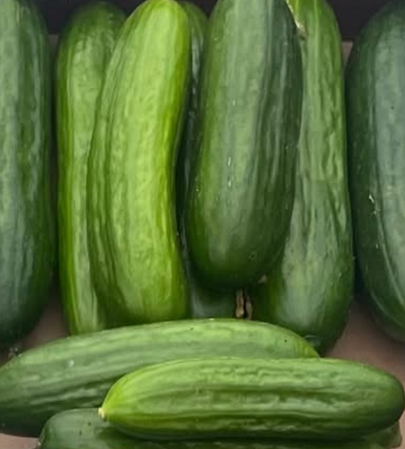 Tendergreen Burpless Cucumber Seeds | Heirloom